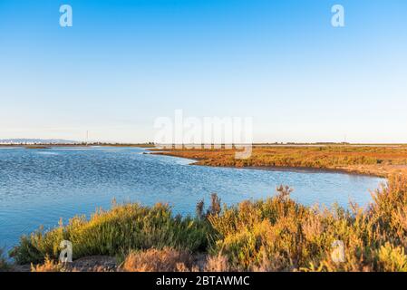 Wasserkanal im Naturpark Ebro Delta, Tarragona, Katalonien, Spanien. Platz für Text kopieren Stockfoto