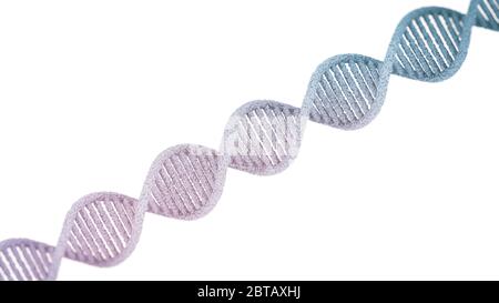 DNA-Strang auf weißem Hintergrund isoliert. 3D-Darstellung Stockfoto