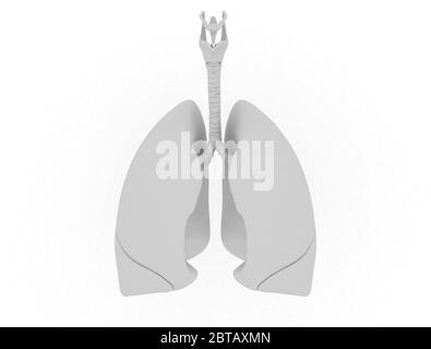 Menschliche Lunge. 3d-Rendern. Isoliert über Weiß Stockfoto