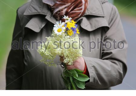 Ein Strauß Holunderblüten und andere Blumen in den Händen einer Frau im Frühling in Bayern Stockfoto
