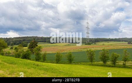 Roter Mohn. Blumen der Saison. Empfindliche Pflanzen. Feldunkräuter. Grüne Felder. Rote Blume. Stockfoto