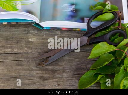 Gartenschere, Buch und Grünzweig auf rustikalem Hintergrund. Gartenarbeit. Freier Speicherplatz. Stockfoto