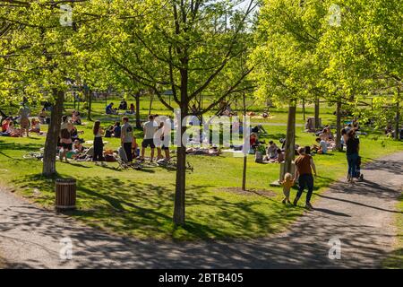 Montreal, CA - 23 Mai 2020 : Menschen versammeln sich während der Coronavirus-Pandemie im Laurier Park Stockfoto