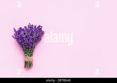 Bund frischer Lavendel auf rosa Hintergrund. Violette Blüten. Grußkarte mit Platz für Text. Flaches Lay, Kopierbereich. Stockfoto