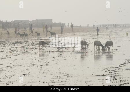 Yoff Beach, ein handwerklicher Angelplatz und bevölkerungsreiches Küstenviertel in Dakar, Senegal Stockfoto