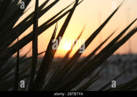 Szene im 'Global Village' - dem weltweit führenden multikulturellen Park - mit Unterhaltung, Shopping und Küche, in Dubai, Vereinigte Arabische Emirate. Stockfoto