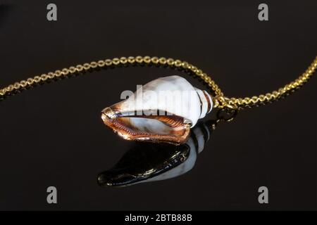 Muschel Anhänger auf einer goldenen Kette spiegelt sich in der schwarzen Glasoberfläche Stockfoto