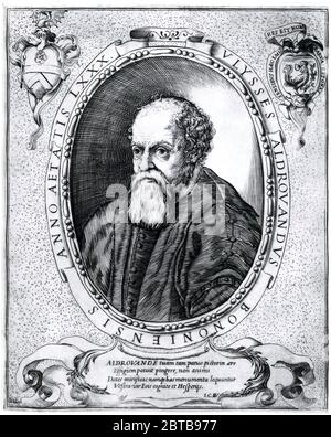 1590 c, ITALIEN: Die italienische Naturforscher, Enthomologe, Biologe, Botaniker ULISSE ALDROVANDI (1522 - 1605) aka Ulysses Aldrovandus aka Aldovrandi. Porträt von unbekannter Graveur . - GESCHICHTE - foto storica storiche - Portrait - ritratto - NATURALISTA - NATURALIST - SCIENZA - WISSENSCHAFT - BIOLOGIE - BIOLOGIA - ENTOMOLOGO - ENTOMOLOGIA - BOTANICO - BOTANICA - BOTANIC - Illustration - illustrazione - incisione - Gravur - Bart - barba --- Archivio GBB Stockfoto