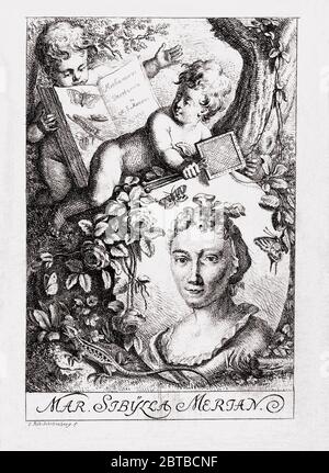 1790 c, DEUTSCHLAND : die deutsche Naturwissenschaftlerin Malerin, wissenschaftliche Illustratorin und Biologin MARIA SIBYLLA MERIAN ( 1647 - 1717 ). Sibylla's Vater war der Schweizer Kupferstecher und Pubblisher Matthäus Merian (Matthäus, 1593 - 1650) der Ältere. Porträt von Kupferstecher Johann Rudolf Schellenberg ( 1740 - 1806 ). - SYBILLA - GESCHICHTE - foto storica storiche - Portrait - ritratto - NATURALISTA - NATURALIST - SCIENZA - WISSENSCHAFT - BIOLOGIE - BIOLOGIA - illustrate - illustrative - Illustrator - Frau Maler - pittrice - pittura - Malerei - ARTE - KUNST - Kunst - Illustration - illustrazione - Incisione - e Stockfoto