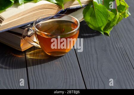 Komposition mit Tasse Tee, alten offenen Büchern und Zweig mit grünen Blättern. Freier Speicherplatz. Stockfoto