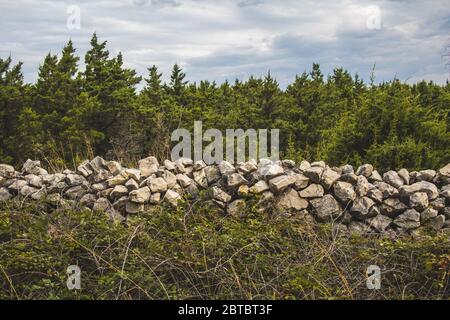 Steinzaun und Hecke vor Nadelbäumen Stockfoto