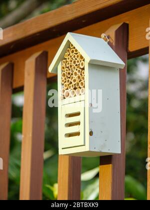 Biene und Bestäuber Haus. Bietet Nisthöhlen für einsame Bienen und Versteck für Bestäuber. Stockfoto