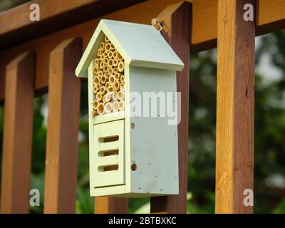 Biene und Bestäuber Haus. Bietet Nisthöhlen für einsame Bienen und Versteck für Bestäuber. Stockfoto