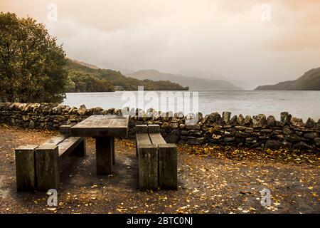 Am Rand von Loch Lomond am Loch Lomond und im Trossachs National Park in Schottland. Stockfoto