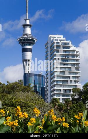 Sky Tower vom Albert Park in Auckland, Nordinsel, Neuseeland aus gesehen Stockfoto
