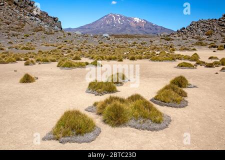 Mt Ruapehu erhebt sich über einem trockenen Seenboden im Tongariro Nationalpark Stockfoto