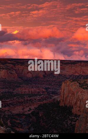 AZ00389-00...ARIZONA - Sonnenuntergang vom Canyon View Trail in Navajo National Monumnet. Stockfoto