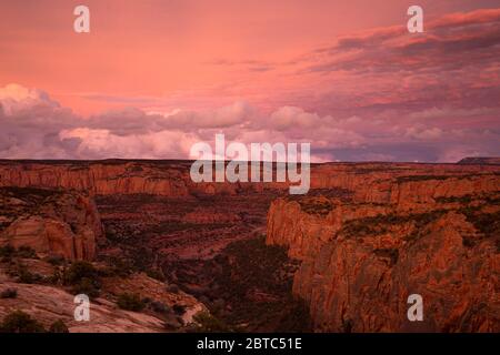 AZ00392-00...ARIZONA - verweilender Sonnenuntergang bei Dämmerung, die Landschaft ein zartes Orange vom Canyon View Trail im Navajo National Monument, Stockfoto
