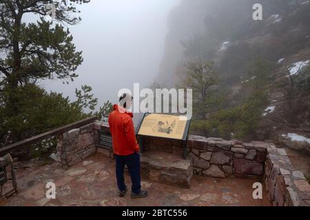 AZ00397-00...ARIZONA - Aspen Forest Blick auf einen nebligen Morgen im Navajo National Monuiment. Stockfoto