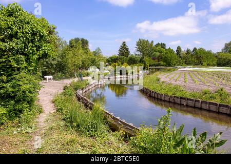 Hortillonnages d'Amiens, Somme, Frankreich Stockfoto