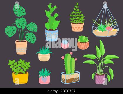 Haus Indoor-Pflanze, Topfkeramik Set, flache Cartoon Blume. Sukkulenten und Hauspflanzen, Kaktussammlung, Monstera, Aloe. Isolierte Vektordarstellung auf dunklem Hintergrund Stock Vektor