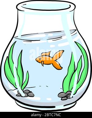 Aquarium mit Wasser, Illustration, Vektor auf weißem Hintergrund Stock Vektor
