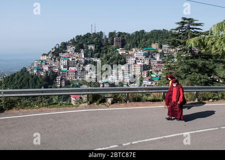 Tibetische Mönche tragen Schutzmasken und soziale Distanzierung als Vorsichtsmaßnahme, um die Ausbreitung des Coronavirus COVID 19 zu verhindern. Dharamshala, Indien. Stockfoto