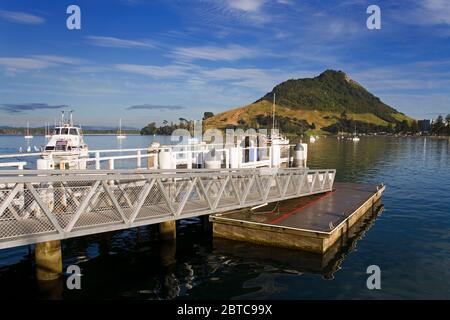 Fähre an der Sailsbury Wharf in Mount Maunganui, Tauranga City, North Island, Neuseeland Stockfoto