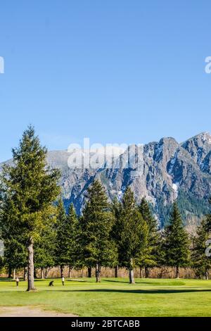 Golfer spielen Golf und halten soziale Distanz Stockfoto