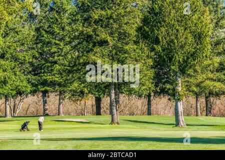 Golfer spielen Golf und halten soziale Distanz Stockfoto