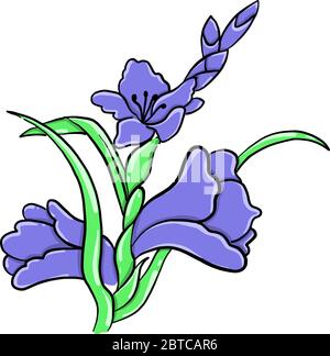 Gladiolus Blume , Illustration, Vektor auf weißem Hintergrund Stock Vektor