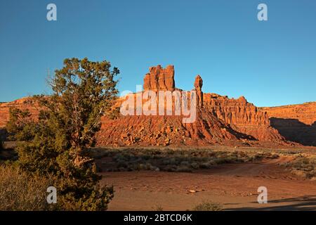 UT00613-00...UTAH - EIN Wacholderbaum und ein roter Sandstein butte glüht im letzten Licht der Sonne, bevor sie hinter einen Grat im Tal der Götter fällt Stockfoto