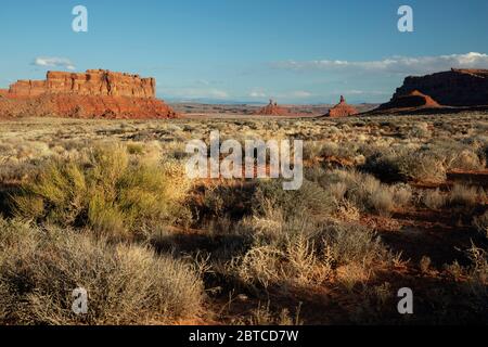 UT00615-00...UTAH - offenes Prärieland zwischen roten Sandsteinbutten im Valley of the Gods. Stockfoto