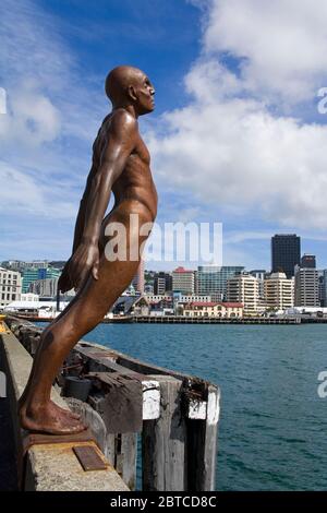 'Solace in the Wind' von Max Patte, Wellington City, North Island, Neuseeland Stockfoto