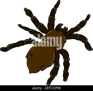 Schwarze Spinne, Illustration, Vektor auf weißem Hintergrund Stock Vektor