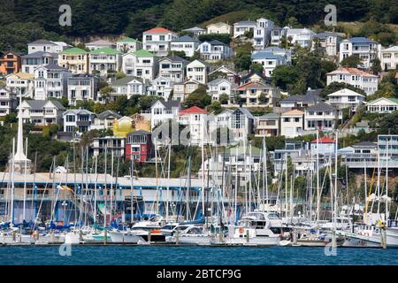 Hanghäuser im Waitangi District, Wellington City, North Island, Neuseeland Stockfoto