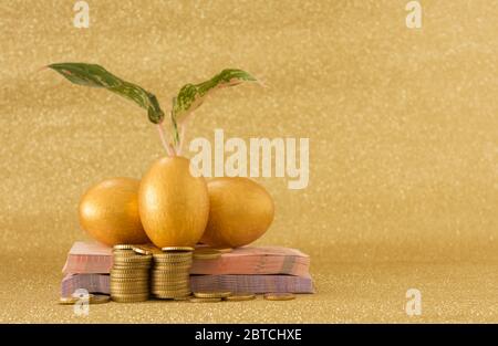 Münzen Glas mit Sprossen wachsen, Banknote, goldene Eier, goldene Münze auf Gold Hintergrund. Investment-Konzept. Stockfoto