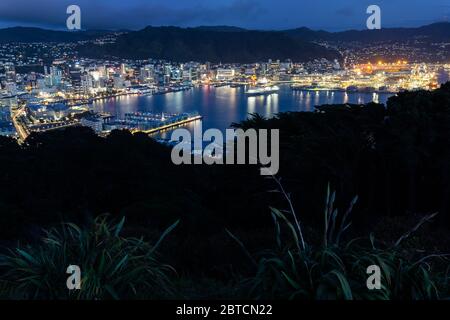 Wellington City von der Mt Victoria, Wellington, Neuseeland, Oktober 2019 Stockfoto