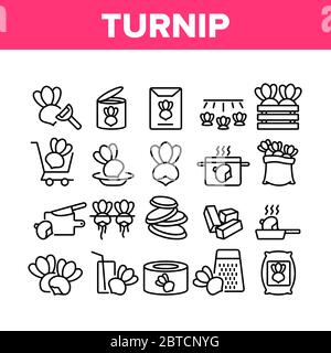 Rüben Landwirtschaftlichen Gemüse Symbole Set Vektor Stock Vektor