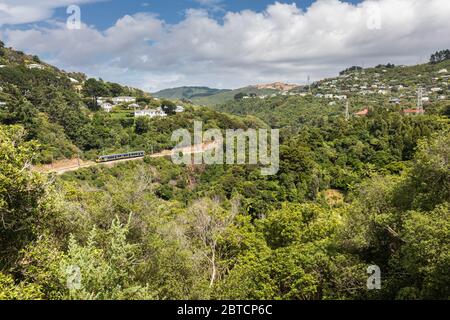 Ein Zug schlängelt sich um ein Tal in den Vororten von Wellington, Neuseeland, Februar 2020 Stockfoto
