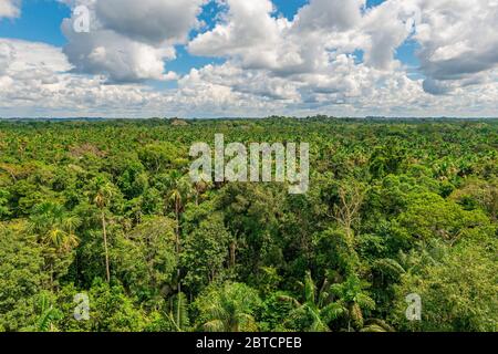 Luftaufnahme des Amazonas-Regenwaldes, der die Länder Brasilien, Bolivien, Kolumbien, Ecuador, (Französisch) Guyana, Peru, Surinam und Venezuela umfasst. Stockfoto