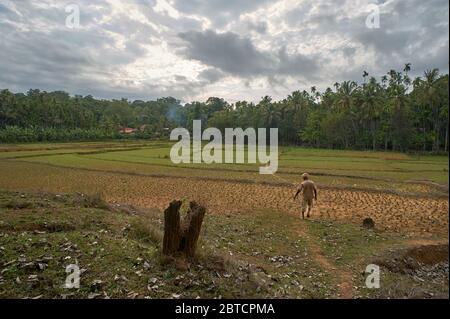 03 Jun 2014 EIN Bauer geht zu seinem leeren Bauern und wartet auf Regen Magot Village Yellapur Uttara Kannada, Karnataka, indien, asien Stockfoto