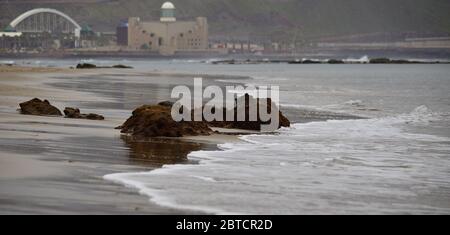 Felsen im Sand bei Ebbe, Strand Las Canteras, Las Palmas de Gran Canaria, Spanien Stockfoto