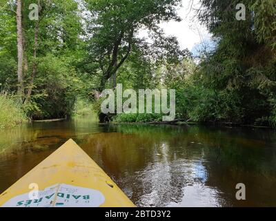Kanu auf dem Fluss umgeben von Bäumen Stockfoto