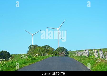 Bergstraße, Windwirbel, Cezallier Plateau, Puy-de-Dome, Auvergne, Massif-Central, Frankreich Stockfoto