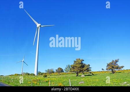 Turbinen, Cezallier Plateau, Puy-de-Dome, Auvergne, Massif-Central, Frankreich Stockfoto