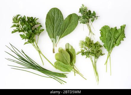 Alle sieben Kuechenkrauter werden in der Frankfurter Grünen Sosse verwendet. Alle sieben Küchenkräuter werden in der Frankfurter Grünsauce verwendet. Stockfoto