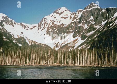 Juli 1976 - nuka Bay, North Arm, Alaska Stockfoto