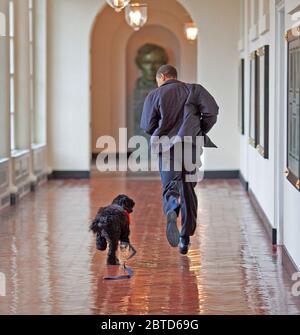 Präsident Barack Obama nach unten läuft im Osten Kolonnade mit Hund der Familie "Bo." 3/15/09 Stockfoto