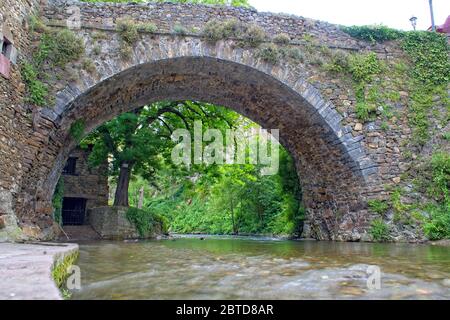 Der Fluss Quiviesa fließt unter einer alten Steinbrücke in Potes, Kantabrien, Spanien. Stockfoto
